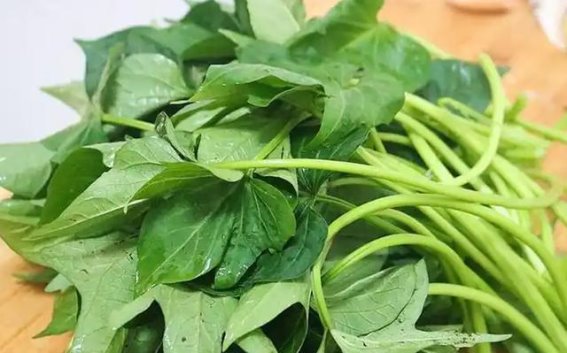 红薯叶对高血压患者的多重健康益处