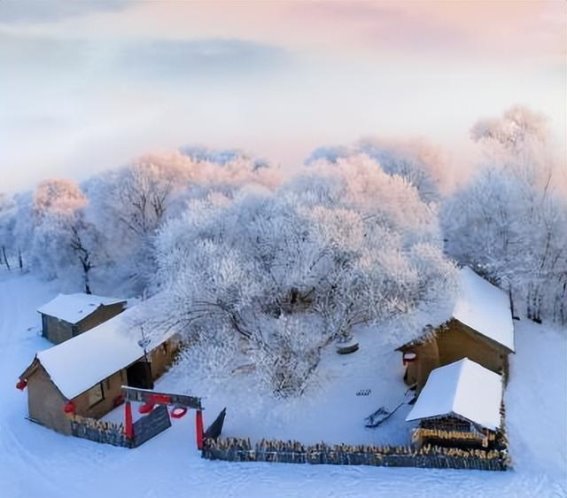 冬季自驾必备冬季胎选择指南