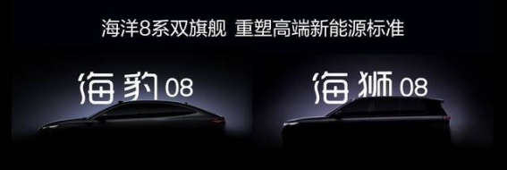 比亚迪海洋网的“海洋速度”：从销量到品牌深度的跃升