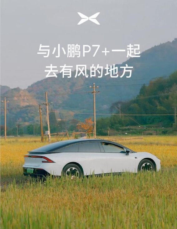 与风同行，在田野间自由呼吸