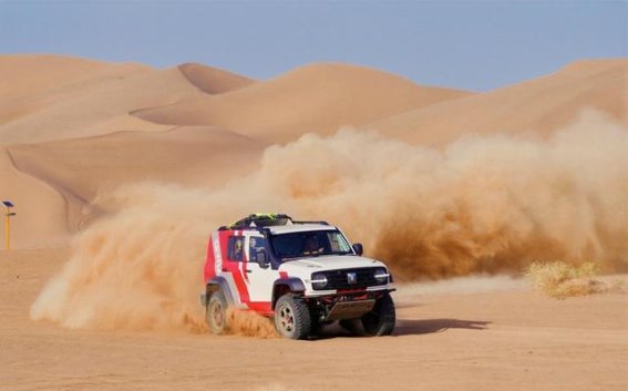 新年礼遇升级 坦克300全系购车政策正式开启