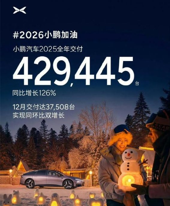 2025年新势力汽车销量盘点：谁笑到最后谁面临挑战