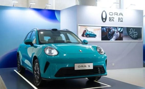 欧拉品牌的困局：魏建军是否会为停产黑猫而后悔？