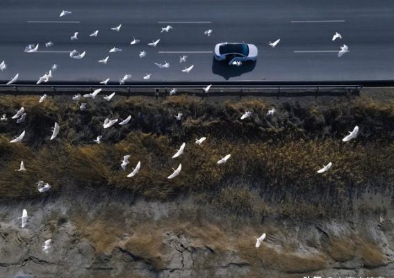 全新雷克萨斯IS：纯电驱动下的运动复兴