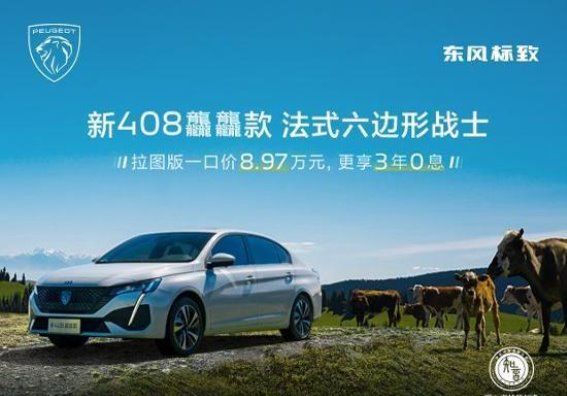 新408龘龘款：法式六边形战士，跨越期待的购车体验