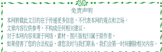 魏牌蓝山智能进阶版：开启家庭SUV新篇章