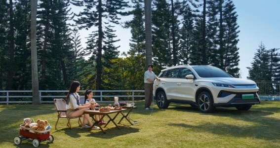 比亚迪逆周期操作：8万级市场的震撼之作