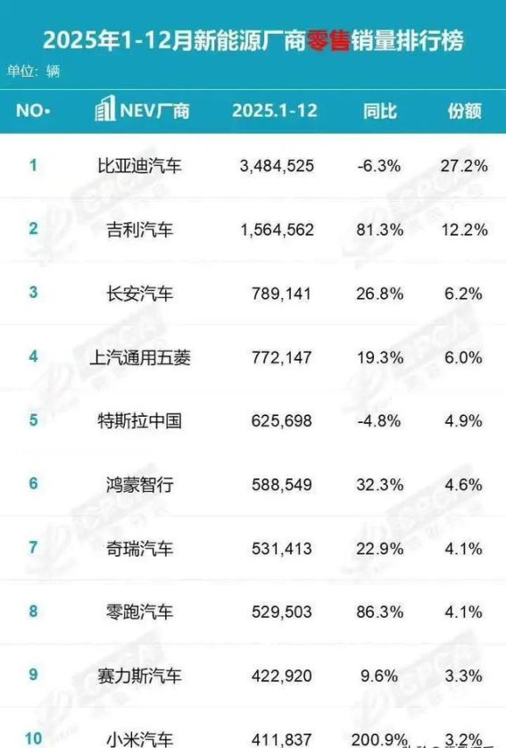 2025年中国新能源汽车市场十大车企排行榜