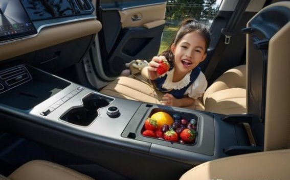 2026款宋Pro DM-i 220km长续航版：智能家用SUV的全新标准