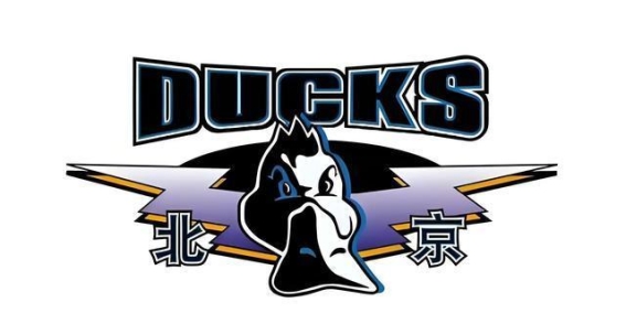 北京北汽输球背后的根本原因：许利民的执教失误与球队发展的瓶颈