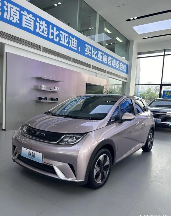 铃木的坚持与后悔：走出中国市场后的新生与困境